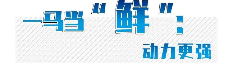 X3000载货2.jpg