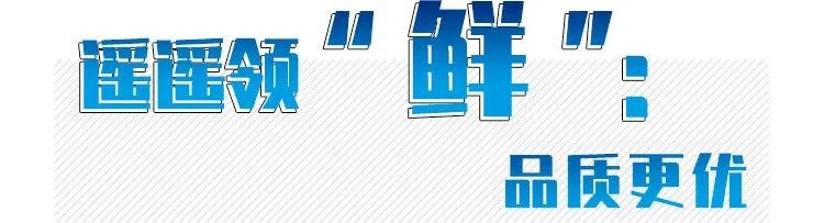 X3000载货6.jpg