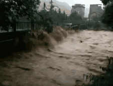 640 (1).gif