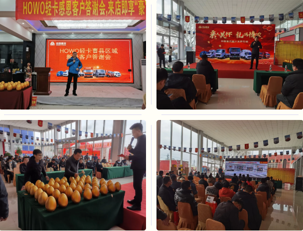 豪沃轻卡1.png
