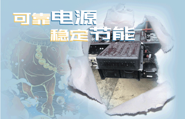 小金牛3.png