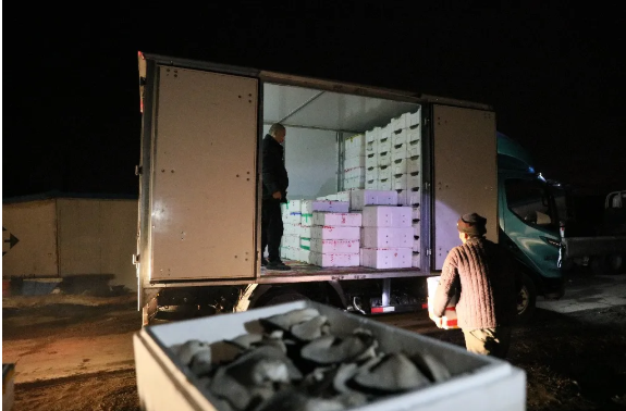 1616290705629269.png 飞碟2.png