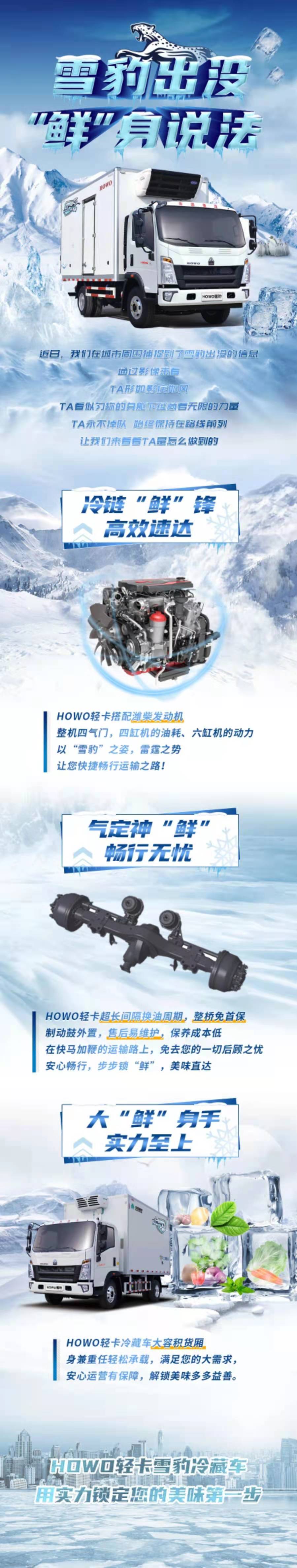 HOWO雪豹.jpg
