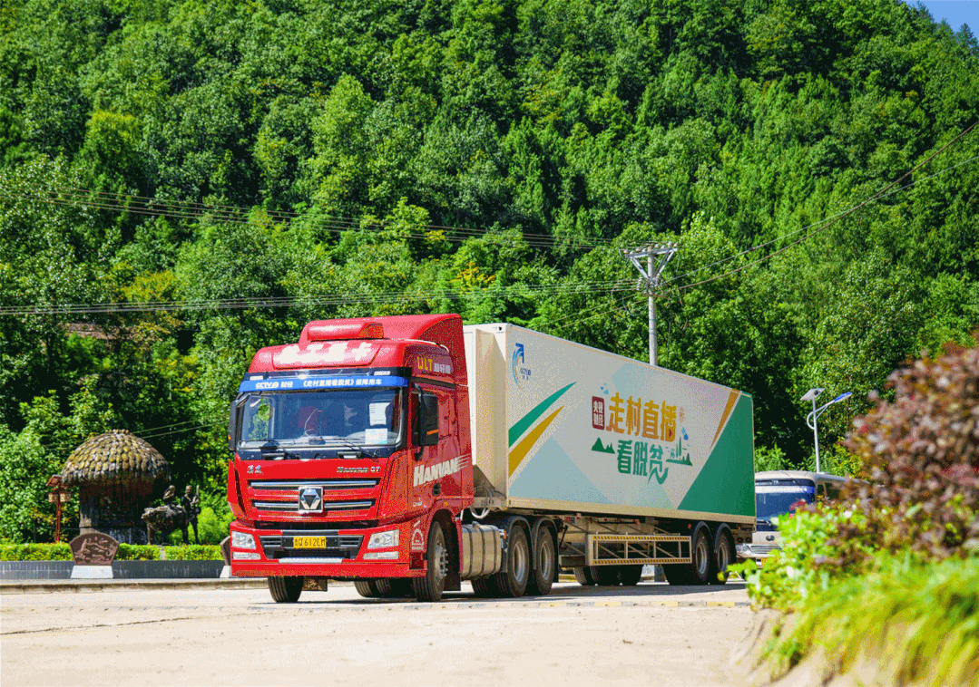 1622702101276911.jpg mmexport1622697560883.jpg