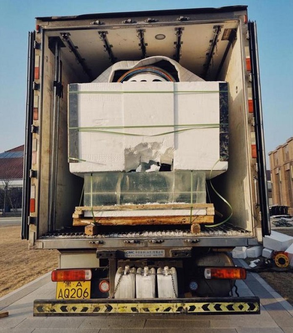 1641784016148855.jpg 6.jpg